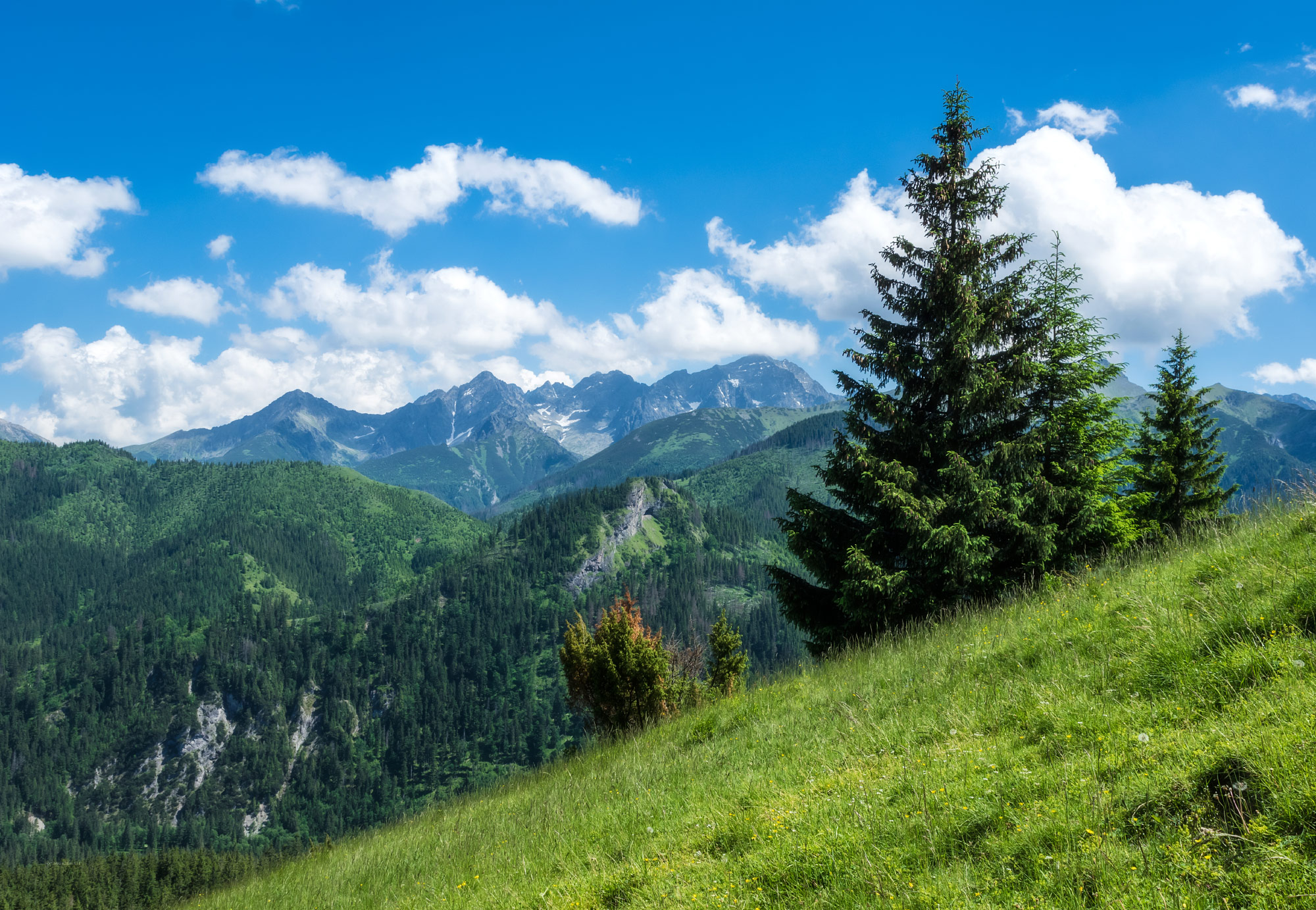 Zakopane, Rusinowa Polana